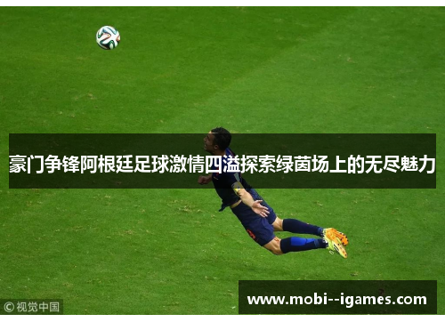 豪门争锋阿根廷足球激情四溢探索绿茵场上的无尽魅力