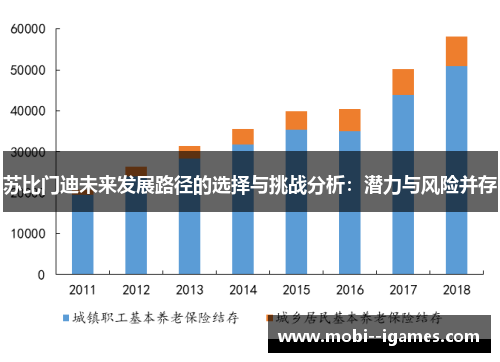 苏比门迪未来发展路径的选择与挑战分析：潜力与风险并存